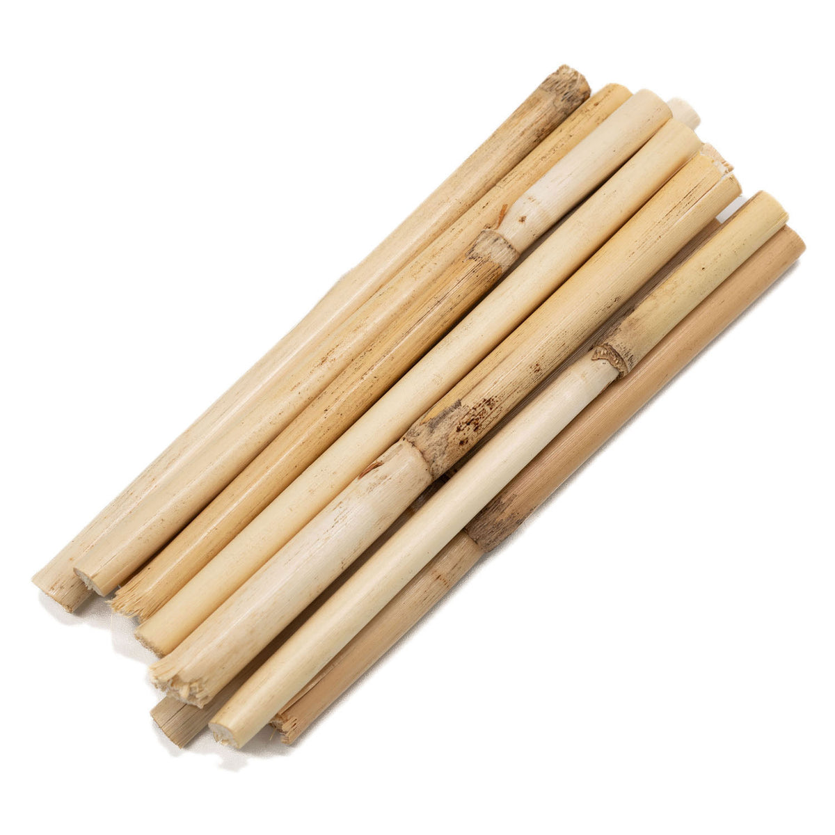 Colorations - Short Bambookkenkken 10-12cm, 10st.