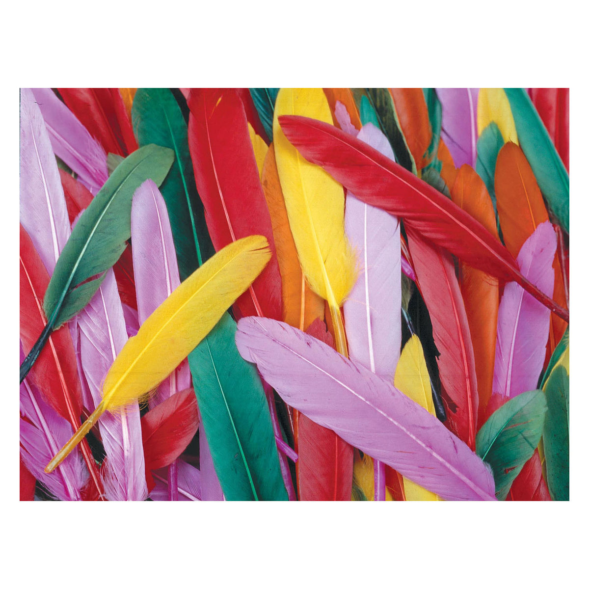 Colorations - colored duck springs, 28.5 grams