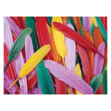 Colorations - colored duck springs, 28.5 grams