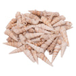 Colorazioni - conchiglie turritella, 550g