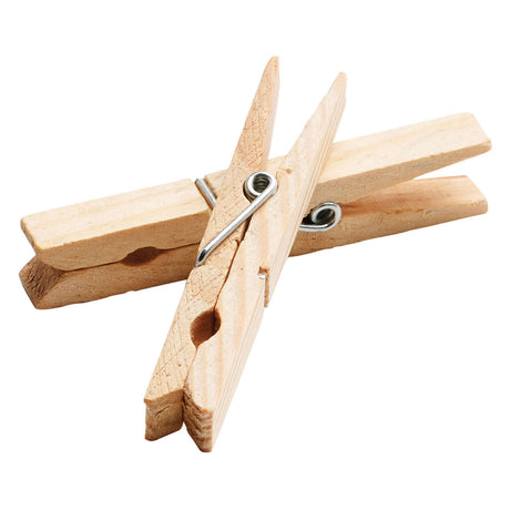 Colorazioni - mollette in legno - 48 pz.