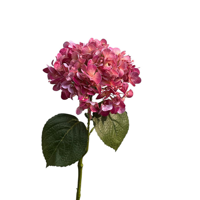 Collezione Roberts fiore artificiale ortensia real touch 75 cm malva