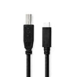Cavo Benel USB 2M USB-C a USB-B