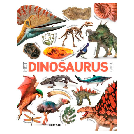Gruppo editoriale Gottmer il libro sui dinosauri. 8+