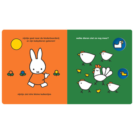 Casa del libro centrale Miffy allo zoo delle coccole