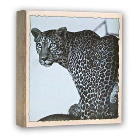 ZEP WL57100 Album Slip -in 100 foto 13x19 cm - 12 album