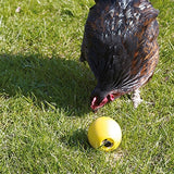 Divertimento con il pollo giocattolo Savic