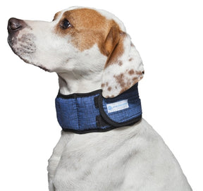 Collar Aqua Coolkeeper Aqua Coollekeeper Pacific Blue