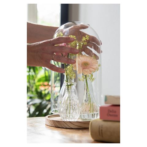 Campana Clayre Eef 6gl2170 trasparente 18x28 cm