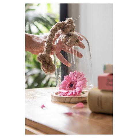 Campana Clayre Eef 6gl2222 trasparente 17x29 cm