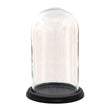 Campana Clayre Eef 6gl3474 trasparente 20x28 cm