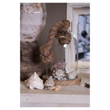 Clayre eef 6gl2220 campana di vetro trasparente 12x19 cm