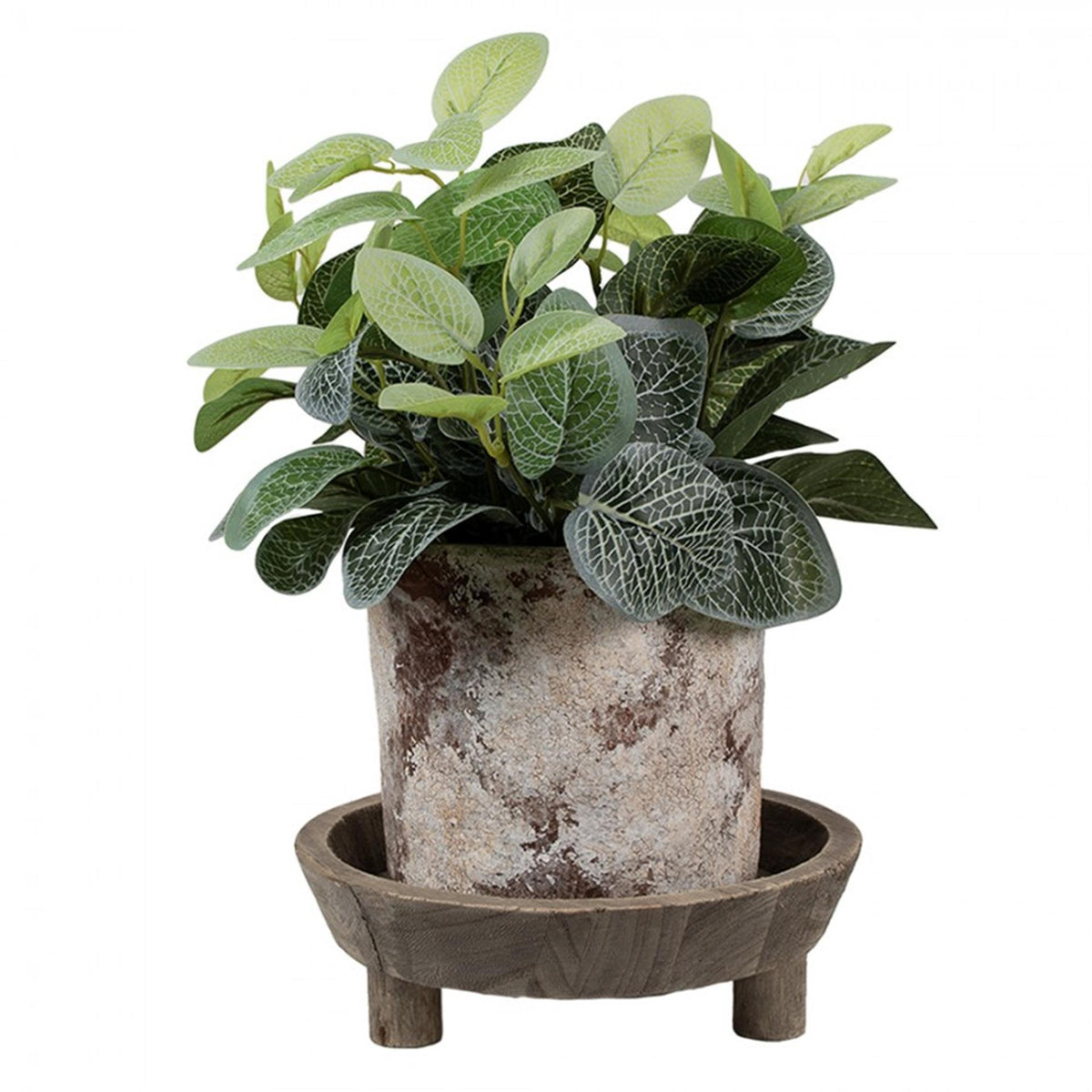 Ciotola decorativa Clayre Eef ø22x7cm