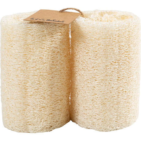 Tmf tormino adempimento https: www.cchobby.nl natural-loofah-sponge-l-10-cm-d-5-5-8-cm-light-natural-2-piece-1-box