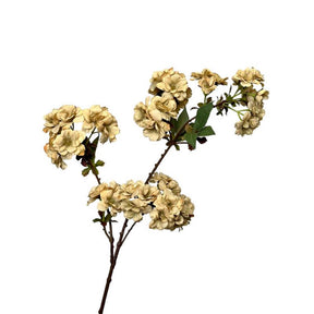 Collezione Roberts fiore artificiale ramo di fiori 80 cm crema