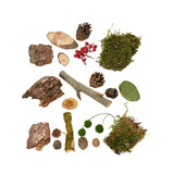Decoris mix naturale muschio bacche arancio