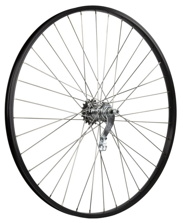 Ruota posteriore senza marchio 28x13 8 rodi