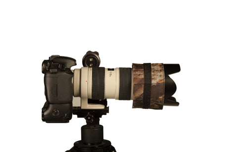 Buteo Photo ingranaggio Photo Lens Type 2 con 4 scomparti