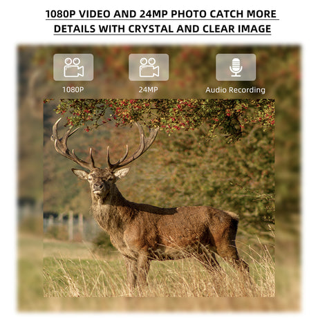 Fotocamera per la fauna selvatica con riccio Stealth Gear 1080p 4G