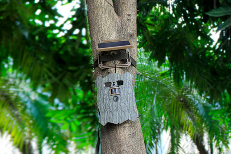 Telecamera Stealth Gear Owl Solar 4K Wi-Fi per la fauna selvatica