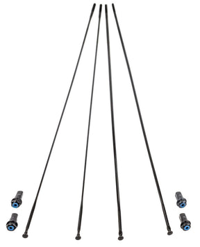 Kit raggi Campagnolo bora wto 33