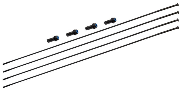 Kit raggi Campagnolo bora wto 33 db