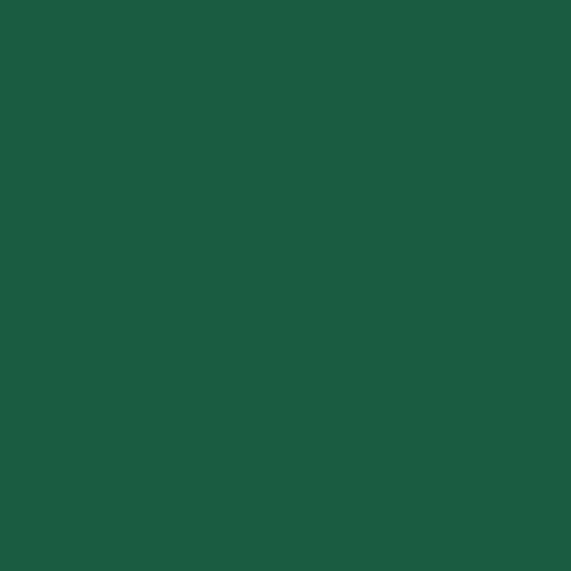 Tovaglioli Duni 33x33cm velina 3 strati verde scuro fsc confezione da 20 tovaglioli