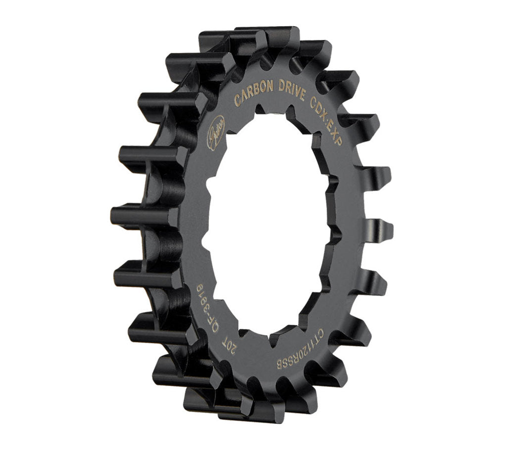 Pignone posteriore Gates Carbon Drive CDX Rohloff Expedition