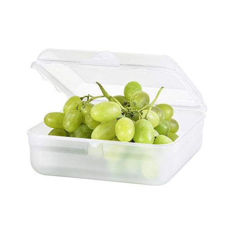 Rotho Fun Lunch Box quadrato 2,35 l trasparente