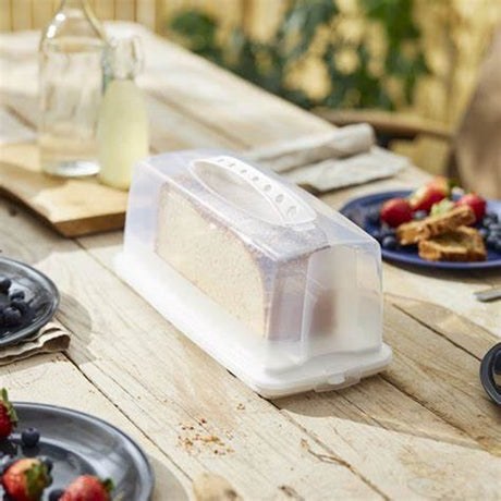 Rotho Fresh Cake Box rettangolare 36x16,5x16,5 cm bianco trasparente