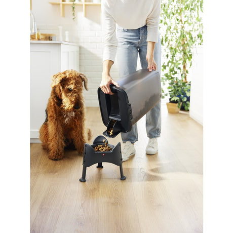 Contenitore per alimenti per animali Rotho Cody 25l antracite trasparente