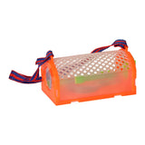 Set per catturare insetti del mondo Bugs