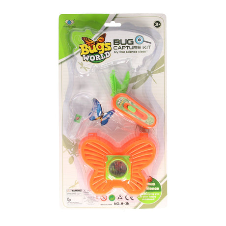 Set di insetti del mondo Bugs