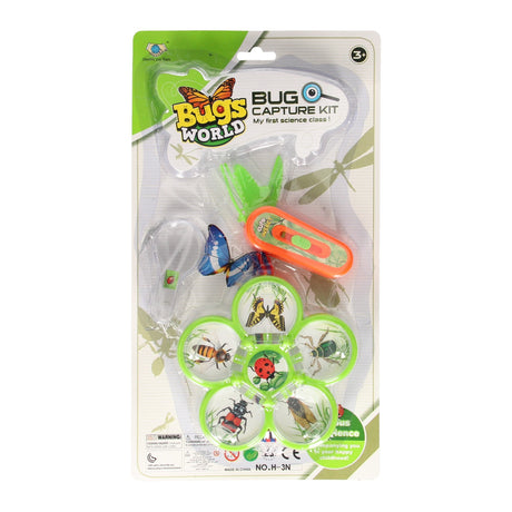 Set di insetti del mondo Bugs