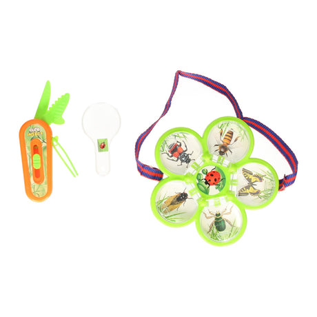 Set di insetti del mondo Bugs