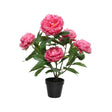 Decoris pianta artificiale peonia in vaso poliestere 41x47x57cm fucsia