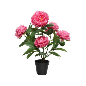 Decoris pianta artificiale peonia in vaso poliestere 41x47x57cm fucsia
