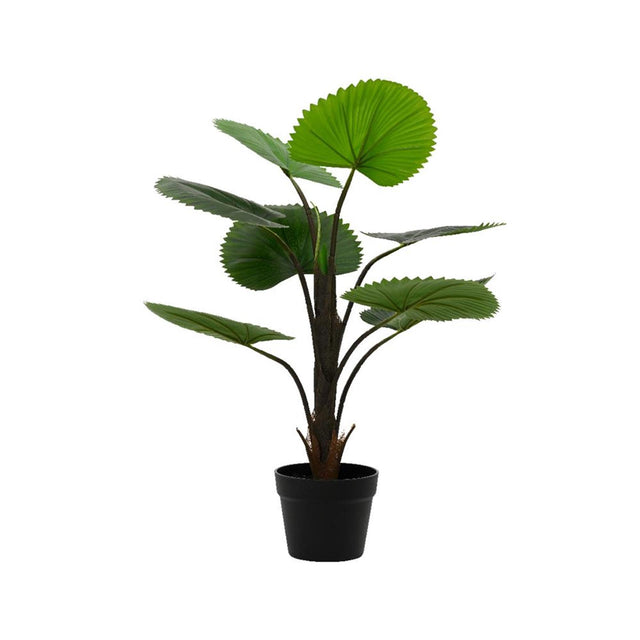 Decoris pianta artificiale palma licuala h75cm
