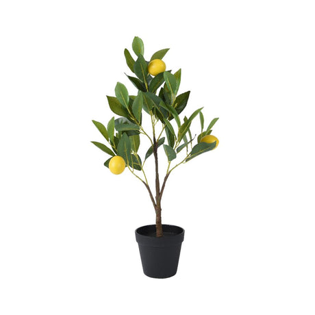 Decoris albero di limoni in vaso poliestere dia.24x60cm