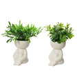 Decoris pianta artificiale a forma di corpo vaso plastica ceramica dia.5x16cm 2 assortiti