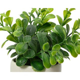 Decoris pianta artificiale a forma di corpo vaso plastica ceramica dia.5x16cm 2 assortiti
