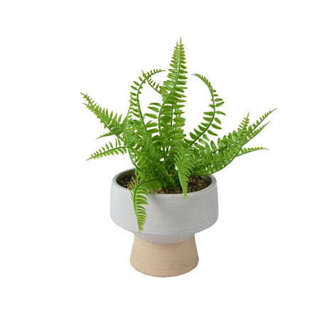 Decoris pianta artificiale felce in vaso plastica dia15.30 15.3x15.3x24cm verde