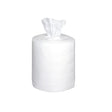 Salviette Ecolab Incidin Premium (6x 99 pezzi)
