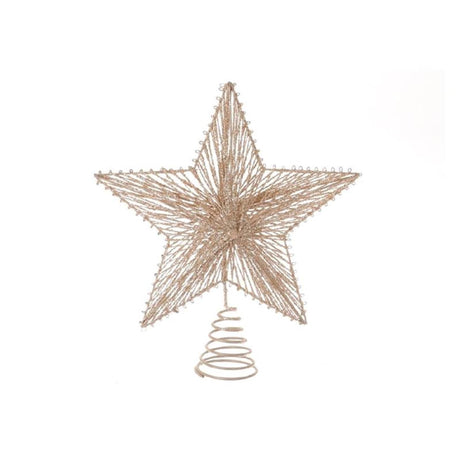 Spirale HBx stella vivente naturale in metallo con glitter 20xh23cm oro