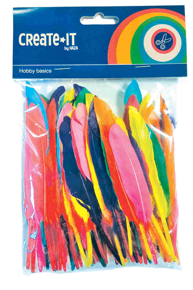 Piume colorate Haza Barbabianca, 100pz.