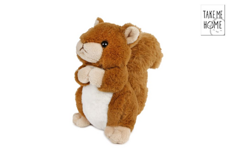 Peluche portami a casa scoiattolo di peluche, 15 cm
