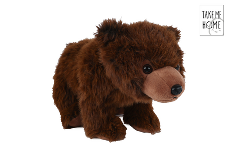 Portami a casa orsetto di peluche - 35 cm