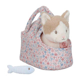 Il piccolo e tenero gatto giocattolo olandese Marley nella borsa