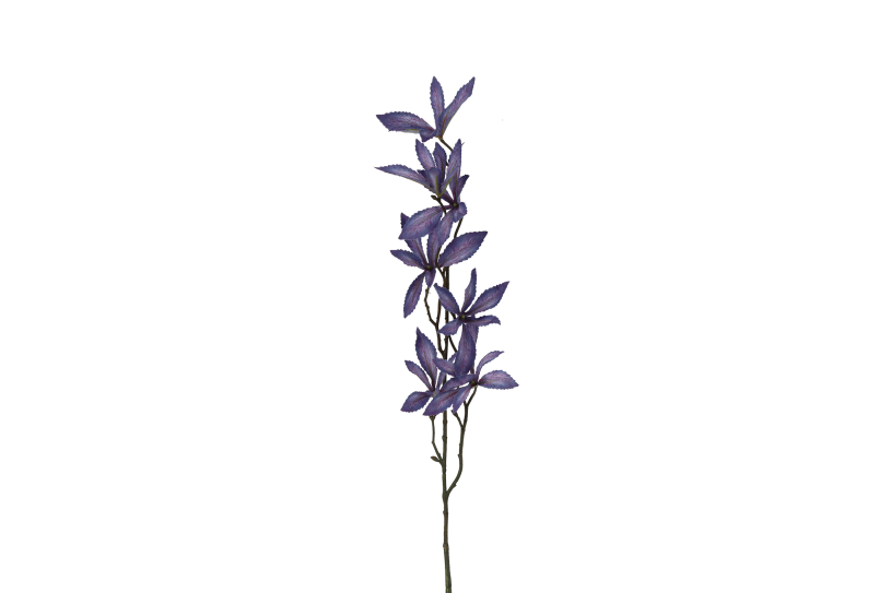 Countryfield kunstbloem pachira paars 80cm