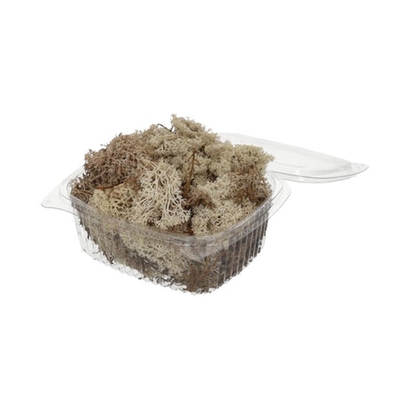 Hbx muschio di renna vivente naturale 50gr muschio di renna bianco 50gr bianco